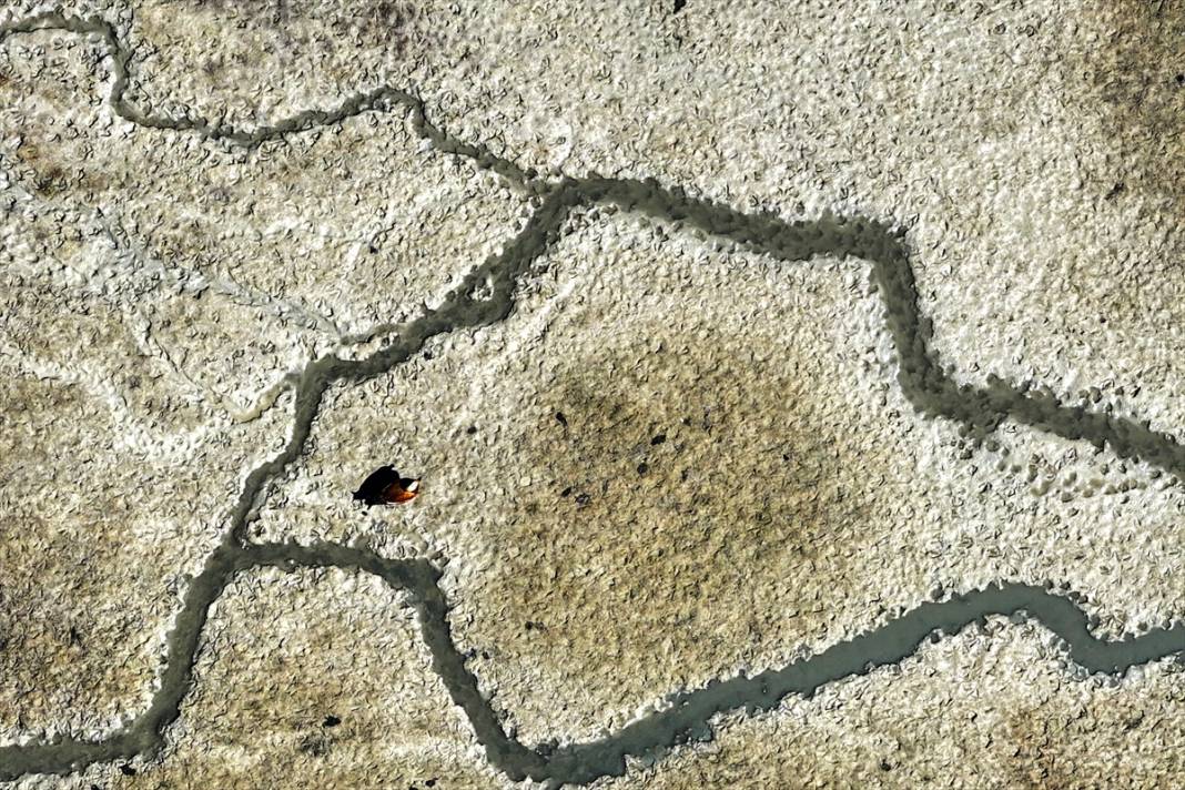 Rakamlar hiç bu kadar korkutmamıştı! Konya çölleşiyor 10